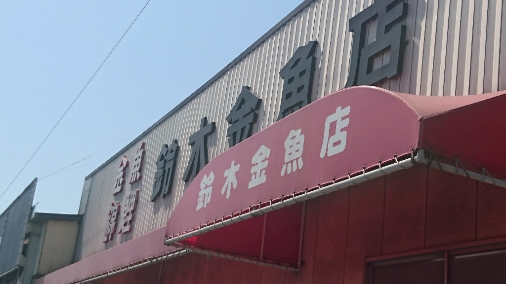 b0298605_05293931.jpg