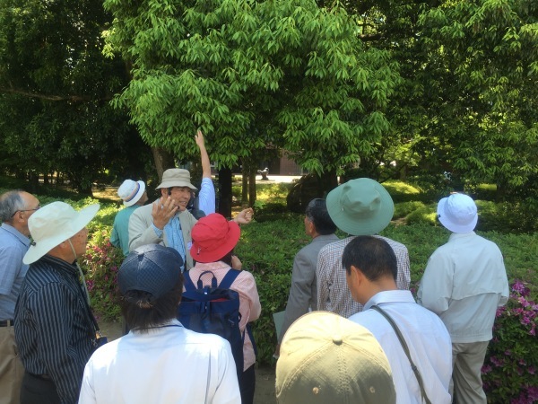 樹木の観察、生育状況と病害虫防除の診断の学習会_b0291906_13433662.jpg