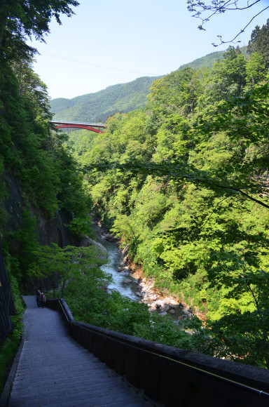 【あると】県南に行ってみた_c0336907_20250488.jpg