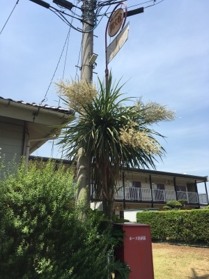 f0071412_11011550.jpg