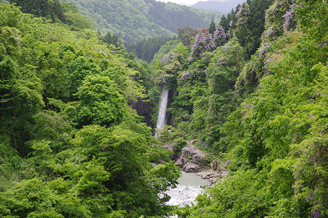 a0314113_08235421.jpg