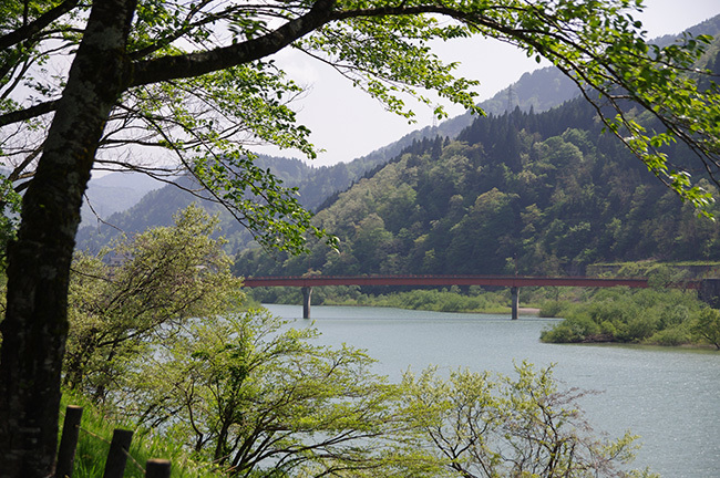 青空と緑とダム湖の青と_a0314113_20110714.jpg