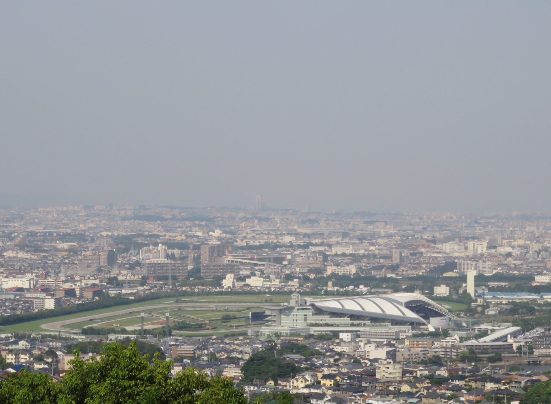 2日連続緑の中へ - 甲山森林公園 -_b0344816_19315053.jpg