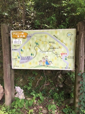 久々登山_d0163620_07060267.jpg