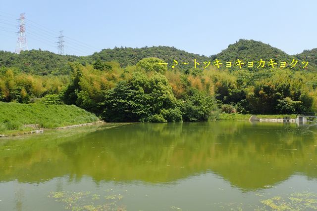 c0369423_19333442.jpg
