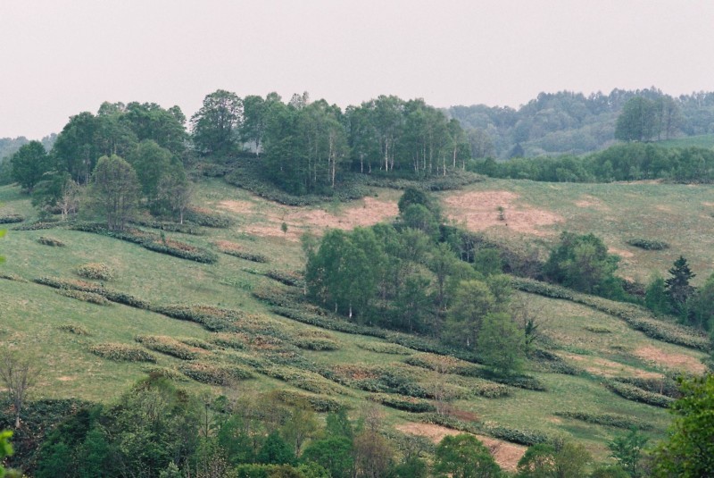 f0362725_21520026.jpg