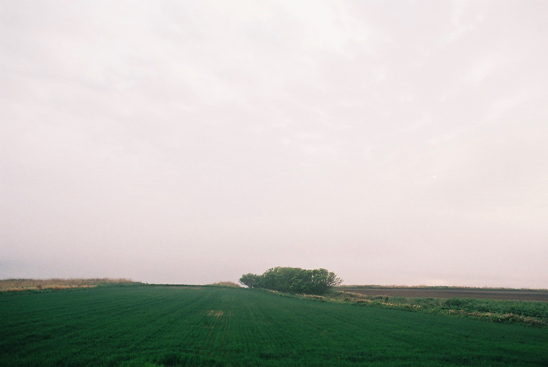 f0362725_21581051.jpg