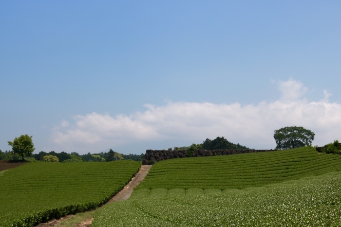 f0348831_08221066.jpg