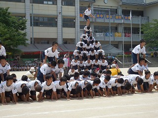 桜木中学校29年度体育祭_c0203348_16230118.jpg