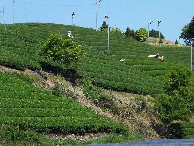 d0048350_15443230.jpg