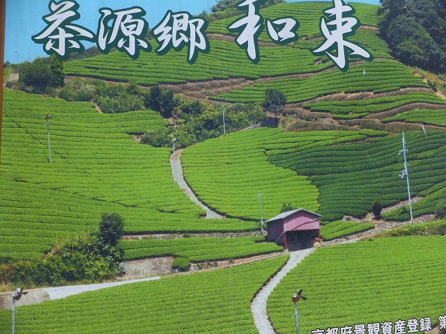d0048350_1544954.jpg