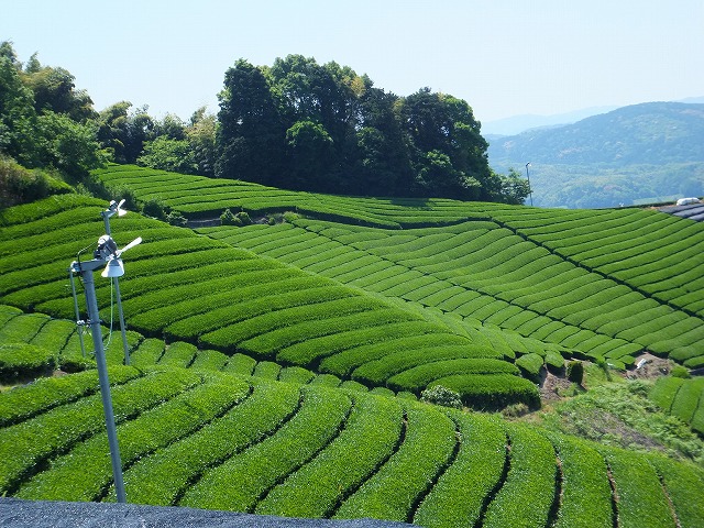 d0048350_15472086.jpg