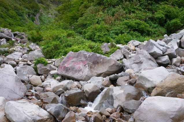 上州～上信越～尾瀬登山の旅　19　（巻機山） 　　_a0288155_15061921.jpg