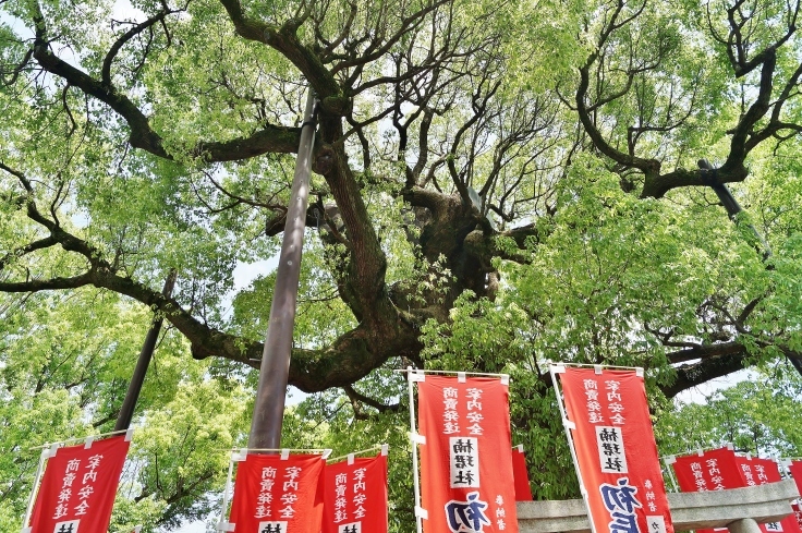 住吉大社末社・商売繁盛・家内安全の神さま「楠珺社(なんくんしゃ)」_b0063958_16194795.jpg