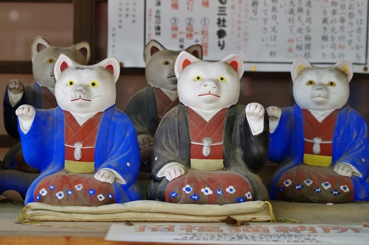 住吉大社末社・商売繁盛・家内安全の神さま「楠珺社(なんくんしゃ)」_b0063958_16220271.jpg