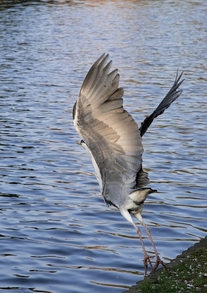 e0173358_20111819.jpg