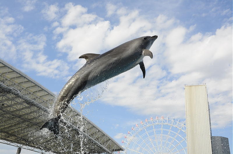 2017春の遠足　名古屋港水族館グループ ②_a0181563_18563565.jpg