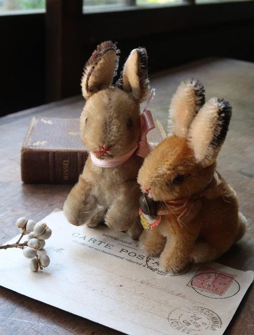 Steiff うさぎ : 満月アンティーク Steiff うさぎ : 満月アンティーク