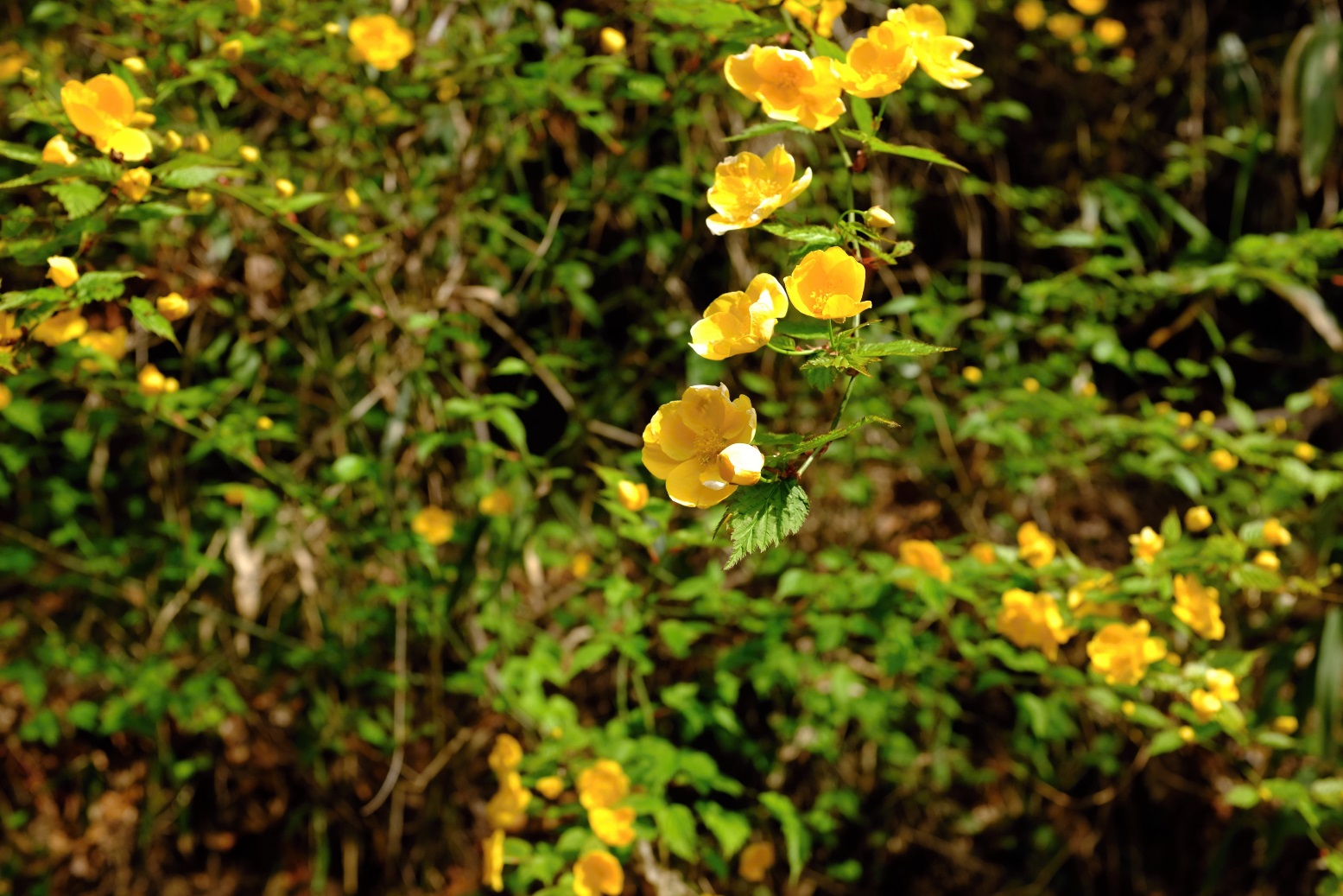 d0233770_2139487.jpg
