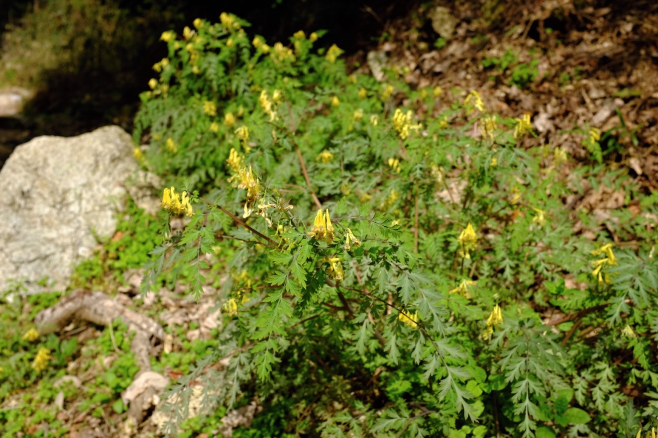 d0233770_21404515.jpg