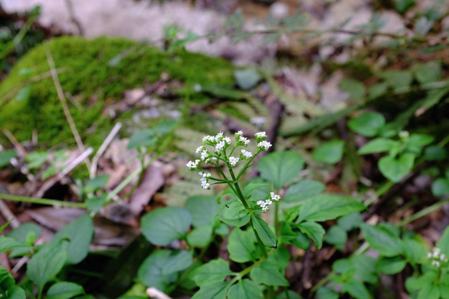 d0233770_2201245.jpg