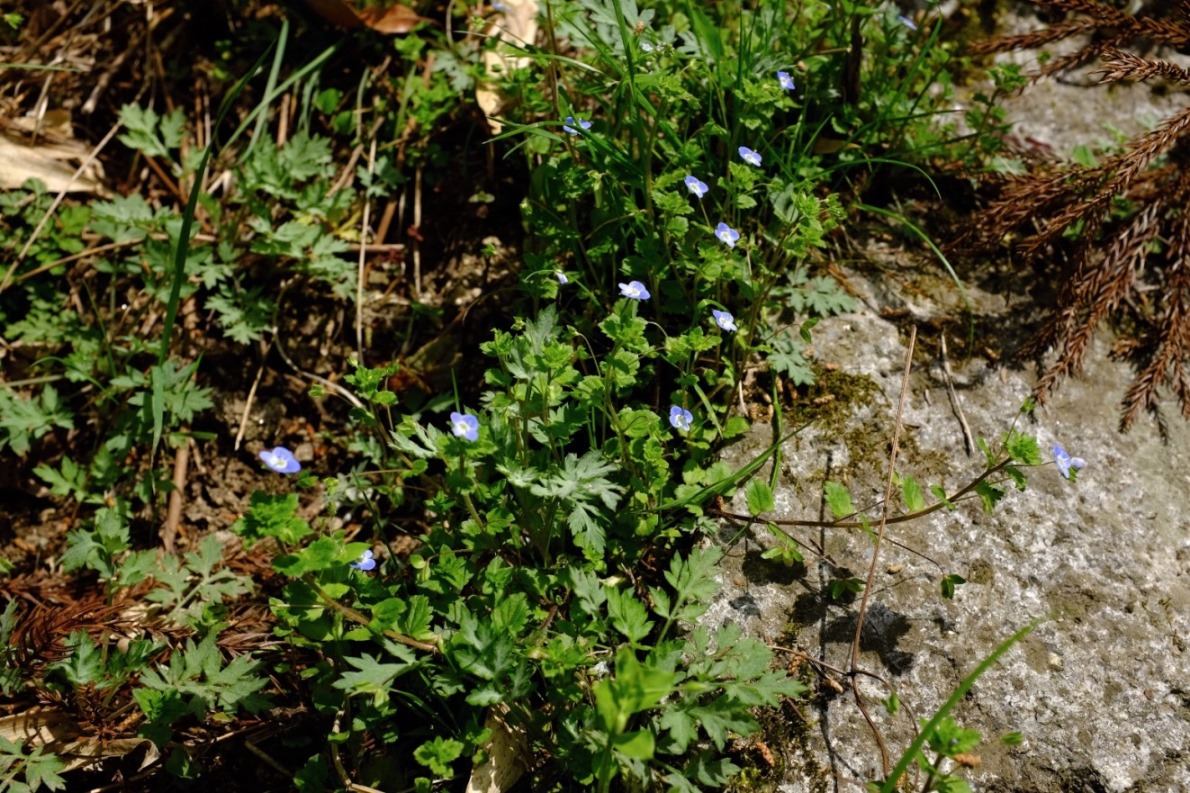 d0233770_23564178.jpg