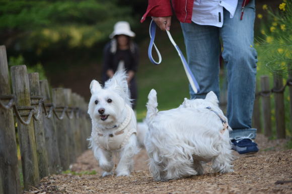 ♪ダニエル みんな一緒に航空公園へ＝＝３～(^^)/♪_b0242873_13201465.jpg