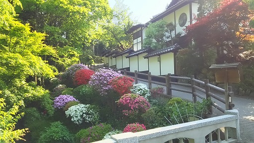 e0020682_14343558.jpg