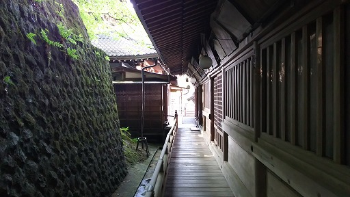 e0020682_1450158.jpg