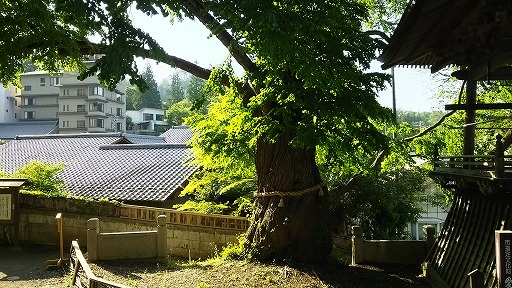 e0020682_14555112.jpg