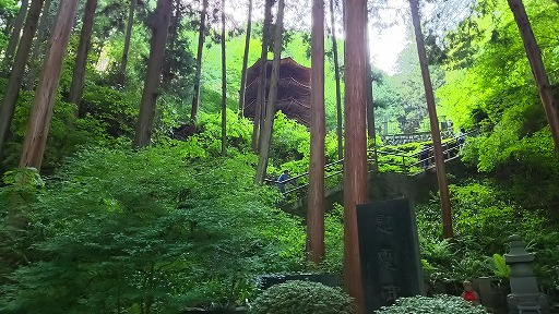 e0020682_1514117.jpg