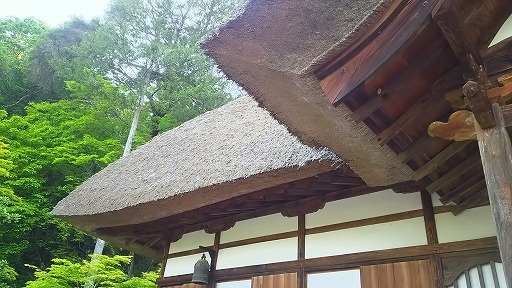 e0020682_15594674.jpg