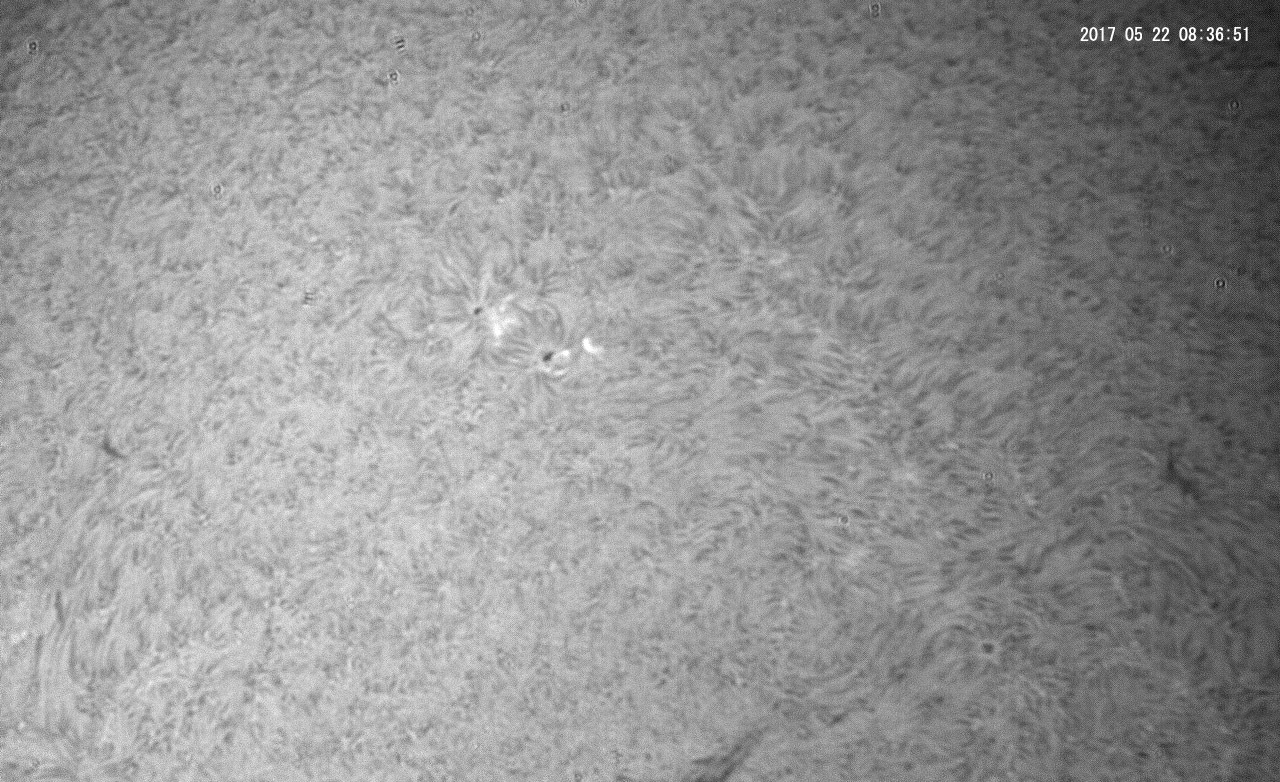 5月22日の太陽_e0174091_09414493.jpg