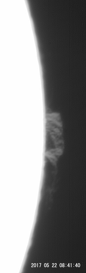 5月22日の太陽_e0174091_09420909.jpg