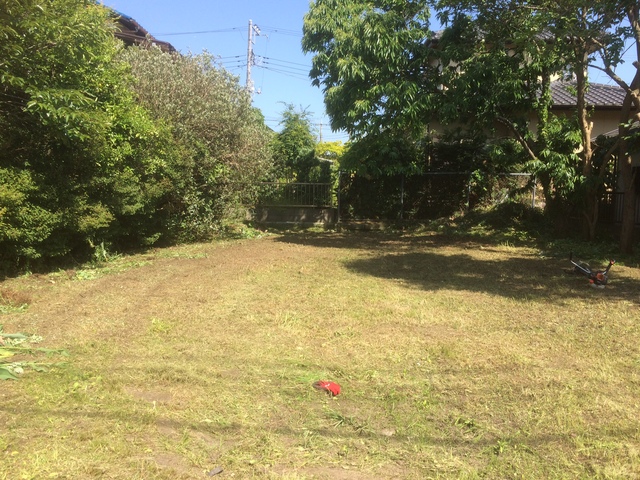 e0270198_1656179.jpg