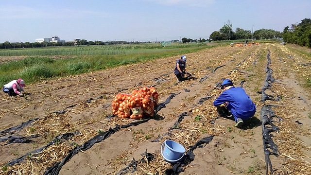 e0270198_1723491.jpg