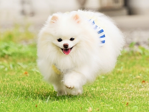 どんまい_d0360206_23054341.jpg