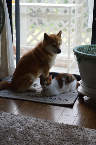 e0201009_21554450.jpg