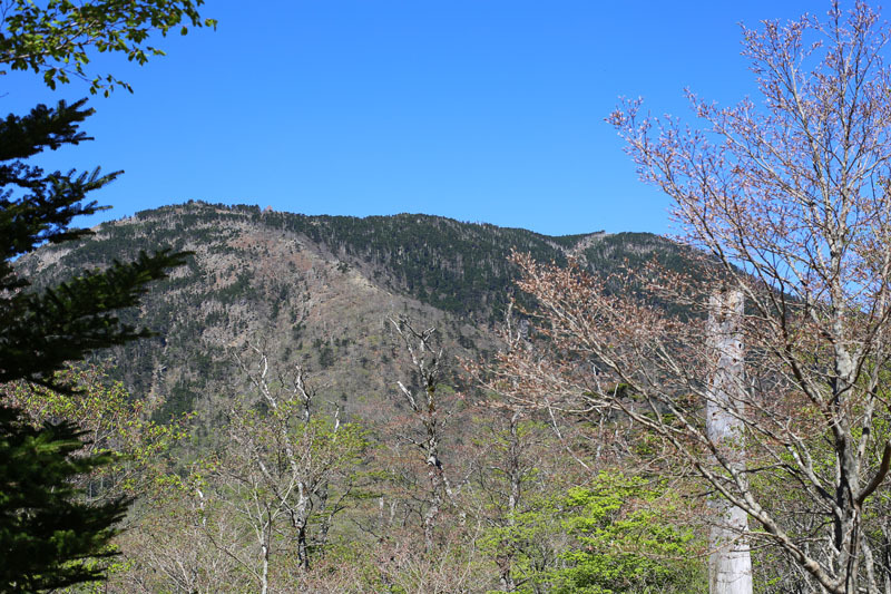 e0077010_21173182.jpg