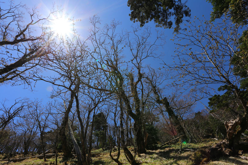 星空を撮影しに敢えてテン泊した八経ヶ岳_e0077010_21273912.jpg