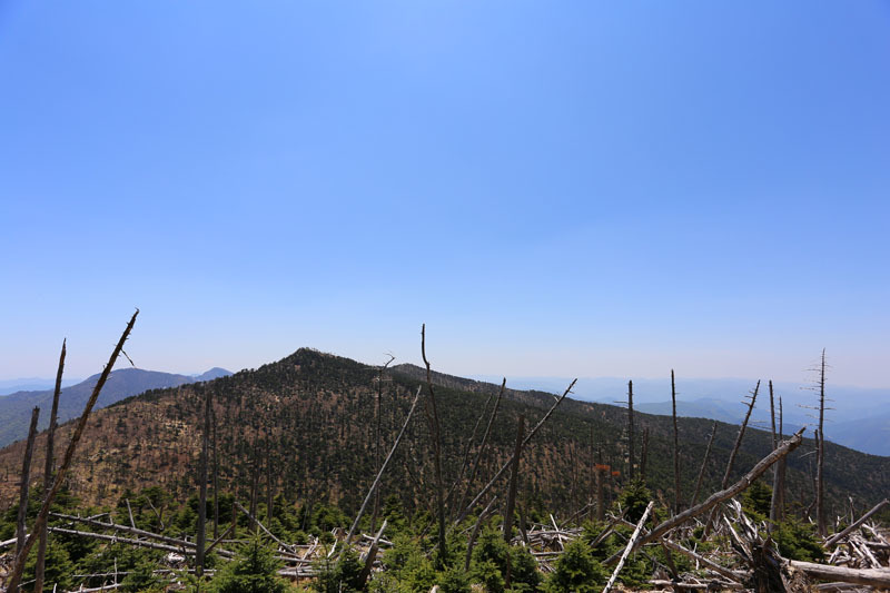 e0077010_21353203.jpg