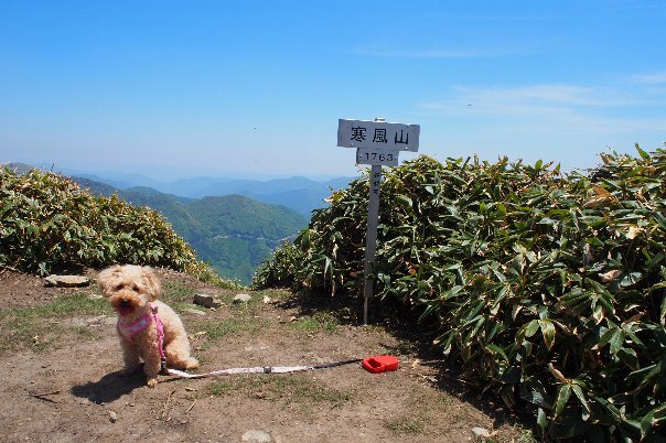 寒風山登山　（その2　頂上から下山）_a0133211_18592981.jpg