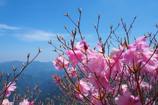 寒風山登山　（その2　頂上から下山）_a0133211_19211202.jpg