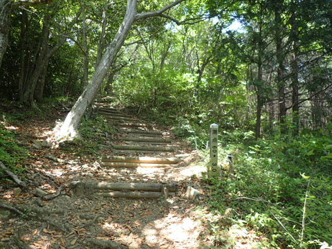 e0293913_10412152.jpg