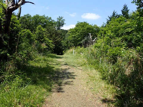 e0293913_10413647.jpg