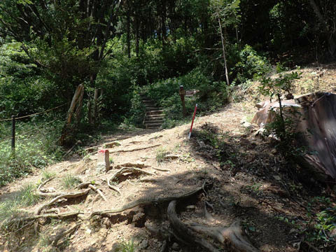 e0293913_10463041.jpg