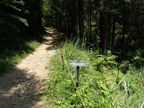 e0293913_10465854.jpg