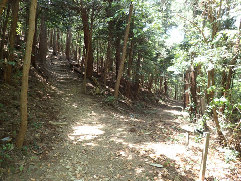 e0293913_10481924.jpg