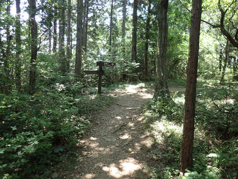 e0293913_10492543.jpg