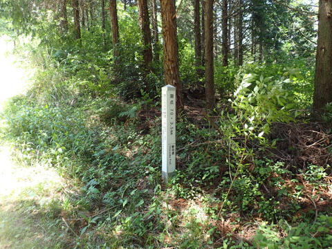 e0293913_10501757.jpg